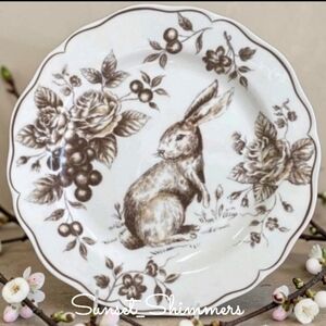 4pc Maxcera Brown Toile Easter Bunny Rabbit Scalloped Cabbage Rose Dinner Plates